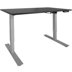 A2 Single Motor Sit / Stand Desk W/ Black 30" X 48" Top
