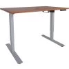 A2 Single Motor Sit To Stand Desk W/ Wood 30"x48" Top