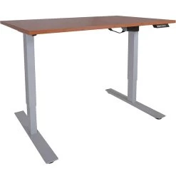 A2 Single Motor Sit To Stand Desk W/ Wood 30"x48" Top