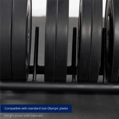 Horizontal Weight Plate Storage With Wheels -Fitness Equipment Shop 430239 07